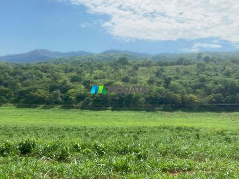 Foto 6 do(a) Fazenda / Sítio / Chácara de 1 quartos à venda em null, Santana do Riacho