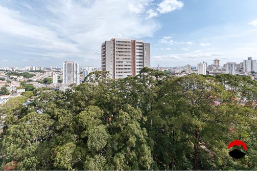 Foto 8 do(a) Apartamento de 3 quartos à venda em Vila Amélia, São Paulo