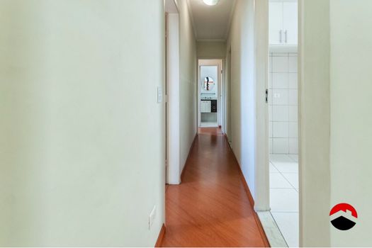 Foto 19 do(a) Apartamento de 3 quartos à venda em Vila Amélia, São Paulo