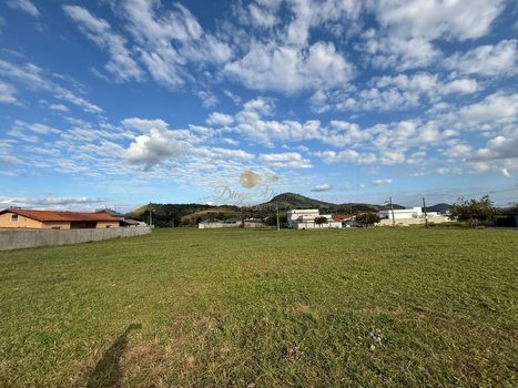 Foto 3 do(a) Terreno false à venda em Cotia, Guapimirim