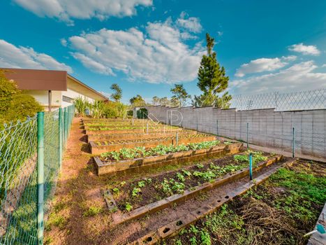 Foto 19 do(a) Terreno false à venda em Jardim Florestal, Jundiaí