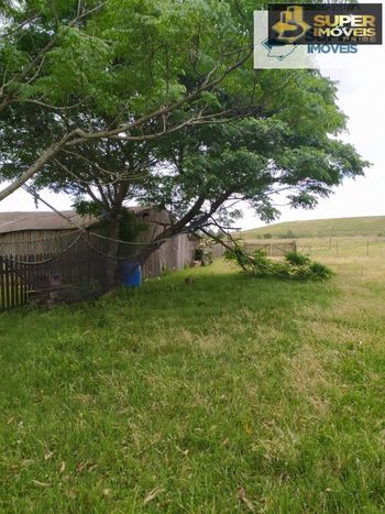 Foto 17 do(a) Fazenda / Sítio / Chácara de 2 quartos à venda em Quinta, Rio Grande