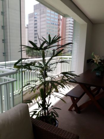 Foto 16 do(a) Apartamento de 3 quartos à venda em Vila Suzana, São Paulo