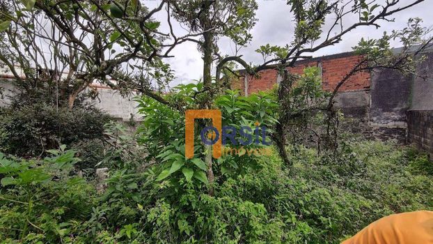 Foto 9 do(a) Terreno false à venda em Vila Vitória, Mogi das Cruzes