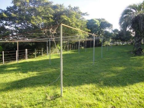 Foto 15 do(a) Fazenda / Sítio / Chácara de 3 quartos à venda em Lomba do Pinheiro, Viamão
