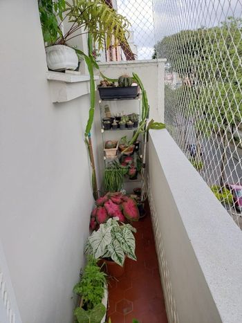 Foto 5 do(a) Apartamento de 2 quartos à venda em São Geraldo, Porto Alegre