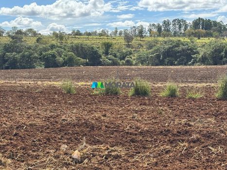 Foto 15 do(a) Fazenda / Sítio / Chácara de 1 quartos à venda em null, Paraopeba