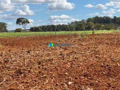 Foto 12 do(a) Fazenda / Sítio / Chácara de 1 quartos à venda em null, Paraopeba