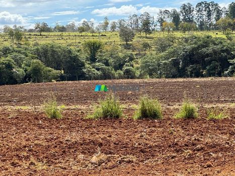 Foto 13 do(a) Fazenda / Sítio / Chácara de 1 quartos à venda em null, Paraopeba