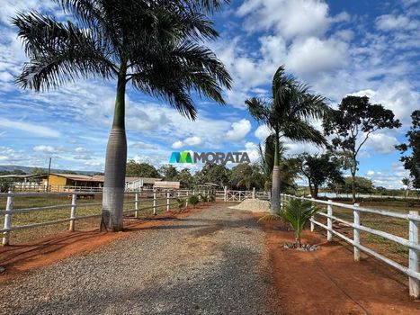 Foto 7 do(a) Fazenda / Sítio / Chácara de 1 quartos à venda em null, Paraopeba