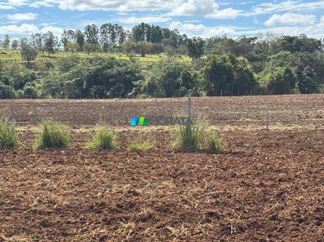 Foto 18 do(a) Fazenda / Sítio / Chácara de 1 quartos à venda em null, Paraopeba