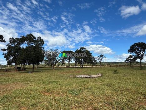 Foto 19 do(a) Fazenda / Sítio / Chácara de 1 quartos à venda em null, Paraopeba