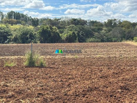 Foto 20 do(a) Fazenda / Sítio / Chácara de 1 quartos à venda em null, Paraopeba