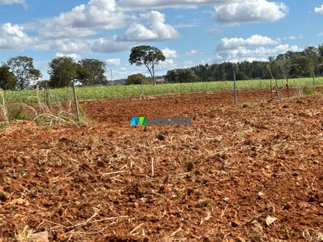 Foto 11 do(a) Fazenda / Sítio / Chácara de 1 quartos à venda em null, Paraopeba
