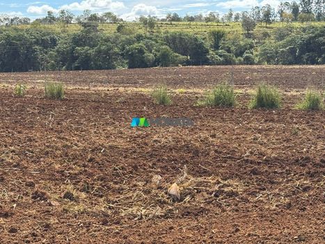 Foto 16 do(a) Fazenda / Sítio / Chácara de 1 quartos à venda em null, Paraopeba