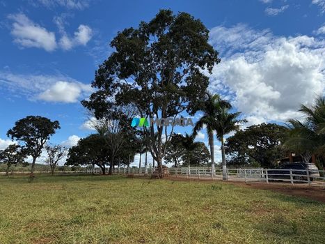 Foto 21 do(a) Fazenda / Sítio / Chácara de 1 quartos à venda em null, Paraopeba