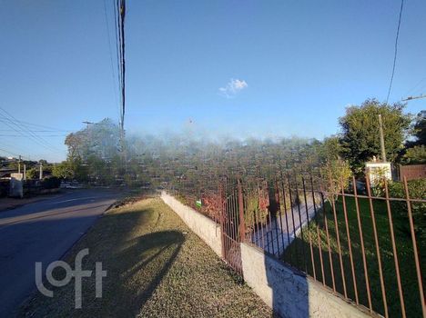 Foto 41 do(a) Casa de 3 quartos à venda em Petrópolis, Novo Hamburgo