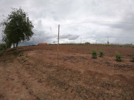Foto 6 do(a) Fazenda / Sítio / Chácara de 2 quartos à venda em null, Piedade