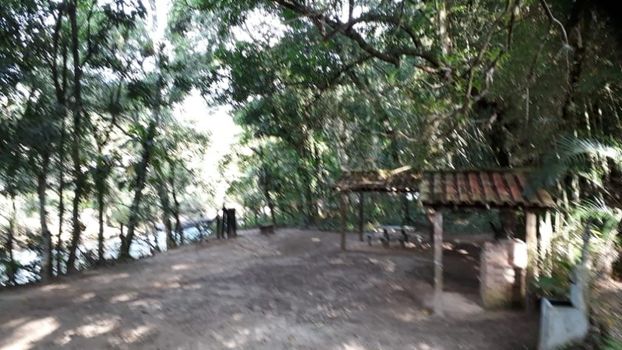 Foto 35 do(a) Fazenda / Sítio / Chácara de 3 quartos à venda em Paraíso, Macaé