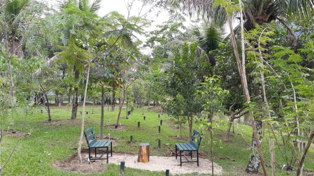Foto 30 do(a) Fazenda / Sítio / Chácara de 3 quartos à venda em Paraíso, Macaé