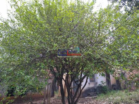 Foto 46 do(a) Fazenda / Sítio / Chácara de 7 quartos à venda em null, Mateus Leme