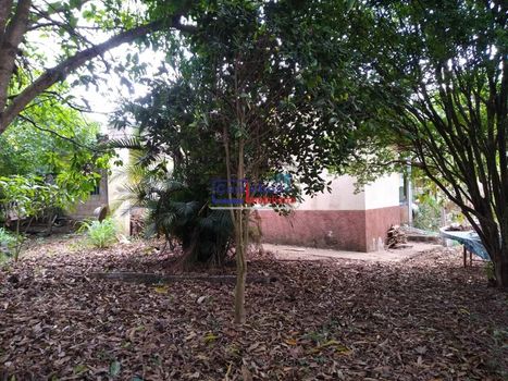 Foto 49 do(a) Fazenda / Sítio / Chácara de 7 quartos à venda em null, Mateus Leme