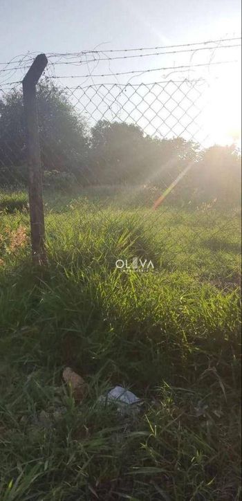 Foto 3 do(a) Fazenda / Sítio / Chácara de 1 quartos à venda em São Francisco, São José do Rio Preto