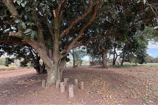 Foto 8 do(a) Terreno false à venda em Bom Retiro, Bragança Paulista