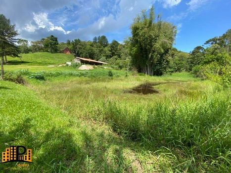 Foto 24 do(a) Terreno false à venda em null, São Lourenço da Serra