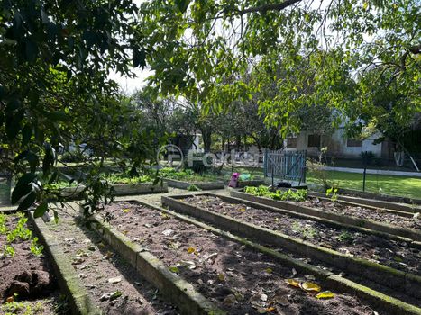 Foto 6 do(a) Fazenda / Sítio / Chácara de 7 quartos à venda em Restinga, Porto Alegre