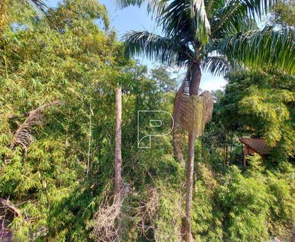 Foto 41 do(a) Casa em Condomínio de 3 quartos à venda em Vila Santo Antônio do Portão, Cotia