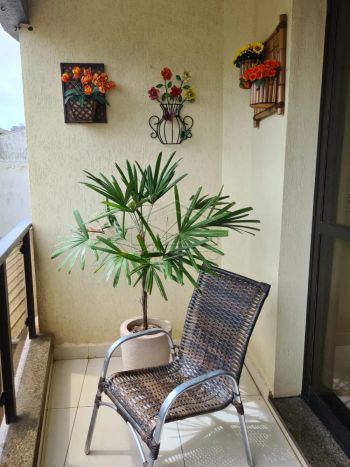Foto 13 do(a) Apartamento de 3 quartos à venda em Vila Mesquita, Bauru