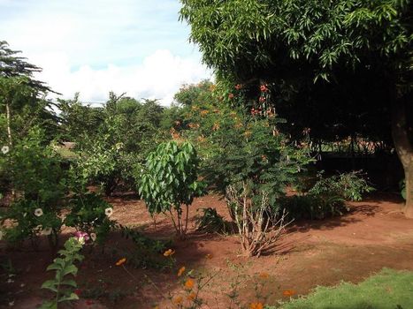 Foto 8 do(a) Fazenda / Sítio / Chácara de 3 quartos à venda em Rosele, Araçatuba