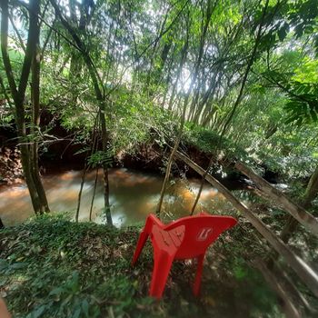 Foto 23 do(a) Fazenda / Sítio / Chácara false à venda em null, Lagoa dos Três Cantos