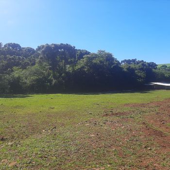 Foto 14 do(a) Fazenda / Sítio / Chácara false à venda em null, Lagoa dos Três Cantos