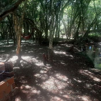 Foto 12 do(a) Fazenda / Sítio / Chácara false à venda em null, Lagoa dos Três Cantos