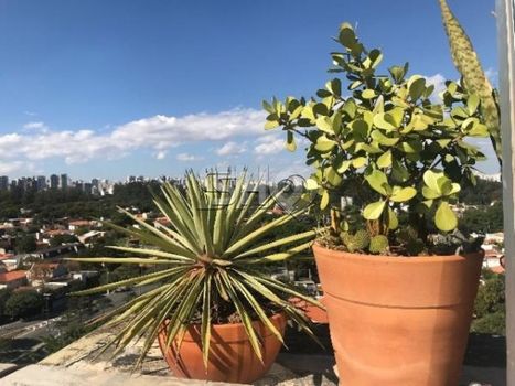 Foto 16 do(a) Cobertura de 3 quartos à venda em Vila Nova Conceição, São Paulo