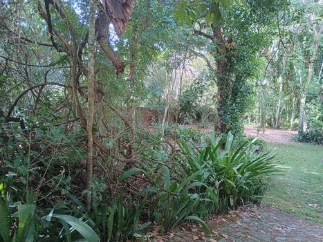 Foto 9 do(a) Fazenda / Sítio / Chácara de 3 quartos à venda em Fernão Velho, Maceió