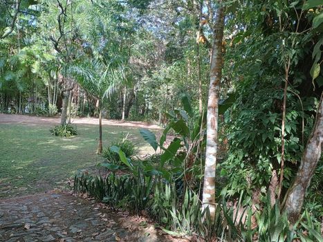 Foto 6 do(a) Fazenda / Sítio / Chácara de 3 quartos à venda em Fernão Velho, Maceió