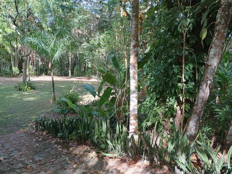 Foto 5 do(a) Fazenda / Sítio / Chácara de 3 quartos à venda em Fernão Velho, Maceió