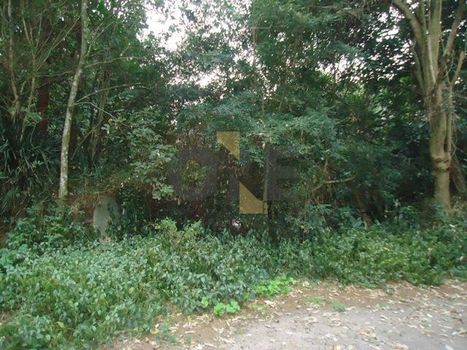 Foto 4 do(a) Terreno false à venda em Chácara Granja Velha, Cotia