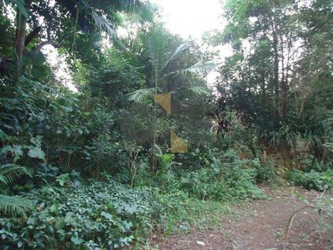 Foto 3 do(a) Terreno false à venda em Chácara Granja Velha, Cotia