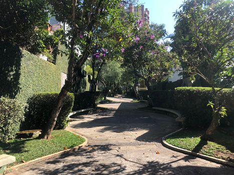 Foto 19 do(a) Casa em Condomínio de 4 quartos à venda em Jardim Ampliação, São Paulo