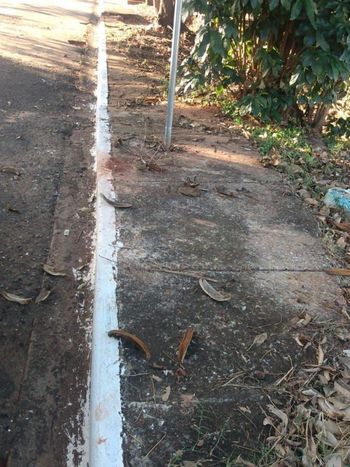 Foto 7 do(a) Terreno false à venda em null, São Pedro do Paraná