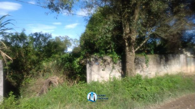 Foto 3 do(a) Terreno false à venda em Chácaras Rio-Petrópolis, Duque de Caxias