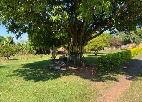 Foto 3 do(a) Fazenda / Sítio / Chácara de 2 quartos à venda em Chácara Flora Araraquara, Araraquara