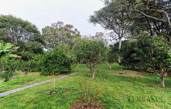 Foto 19 do(a) Fazenda / Sítio / Chácara de 1 quartos à venda em Restinga, Porto Alegre