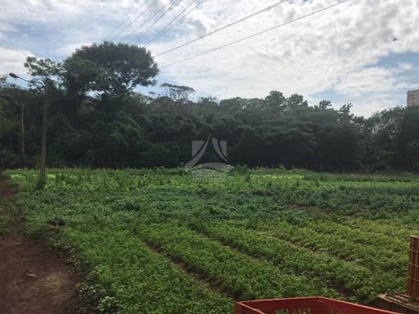 Foto 16 do(a) Sala / Conjunto Comercial false à venda em Vila Virgínia, Ribeirão Preto