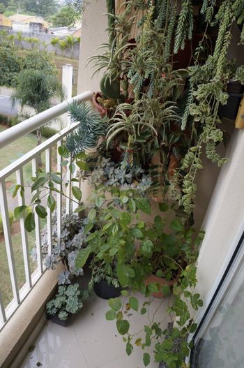 Foto 21 do(a) Apartamento de 3 quartos à venda em Jardim Tupanci, Barueri