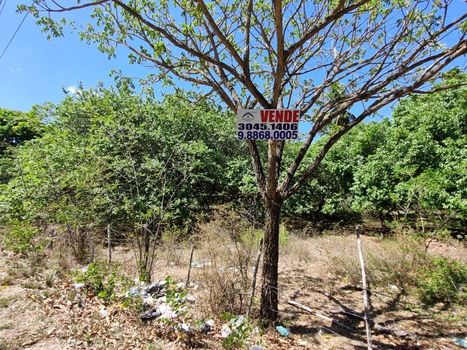 Foto 2 do(a) Terreno false à venda em null, Itaitinga